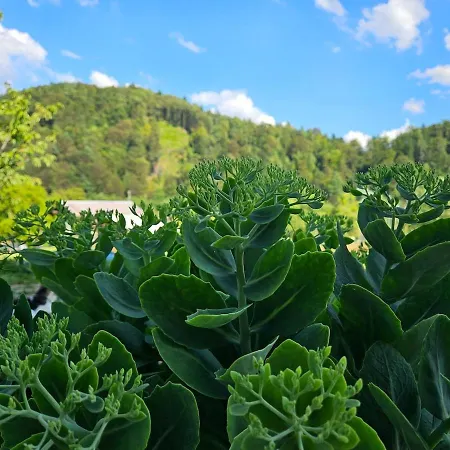 Red Riding Hood Kır Evi Ljubljana