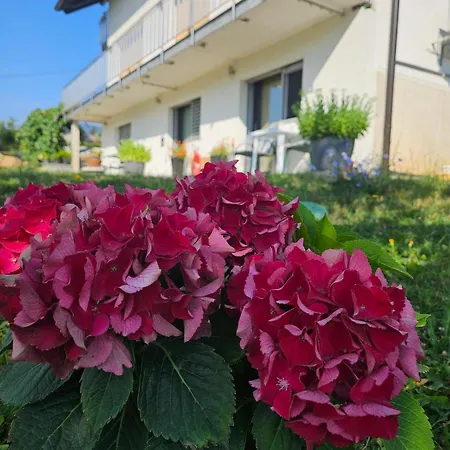 Casa di campagna Red Riding Hood