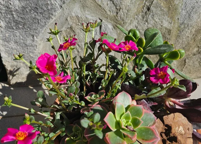 Landhuis Red Riding Hood