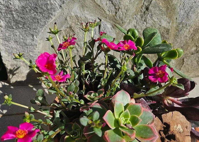 Red Riding Hood * Любляна