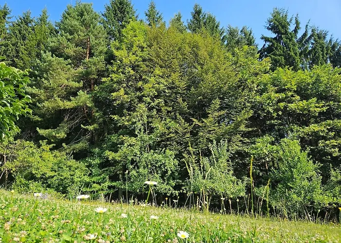 Red Riding Hood לובליאנה