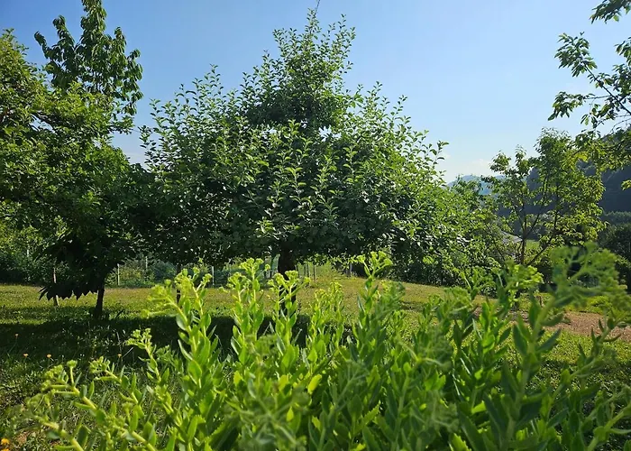 Red Riding Hood בית כפרי לובליאנה