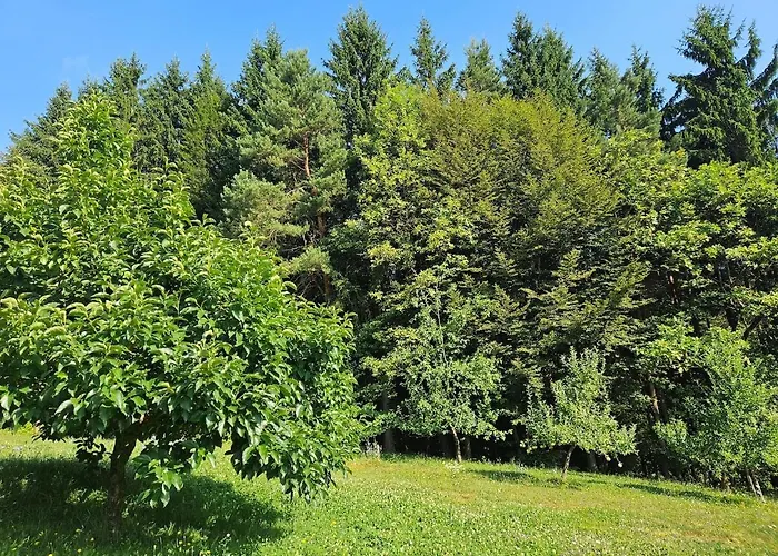 Red Riding Hood Любляна