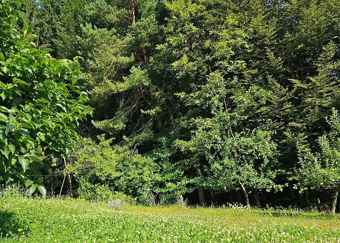 Red Riding Hood בית כפרי