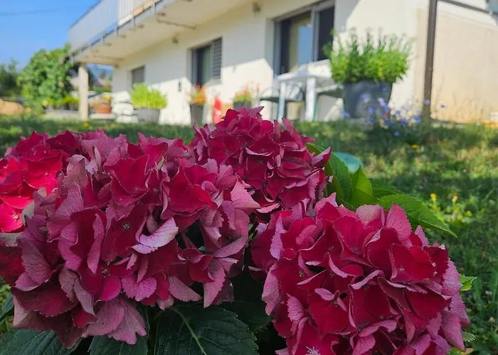 Летний дом Red Riding Hood