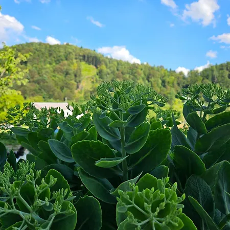 Landhuis Apartmaji Rdeca Kapica Ljubljana