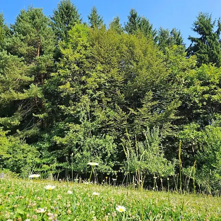 Red Riding Hood Laibach