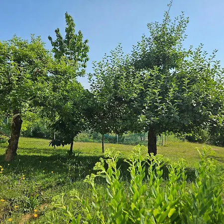 Red Riding Hood Landhaus *