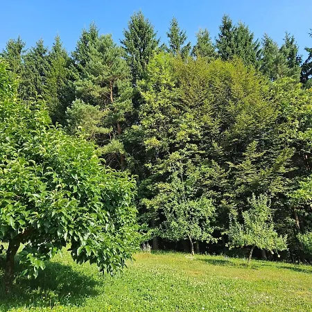 Red Riding Hood Laibach