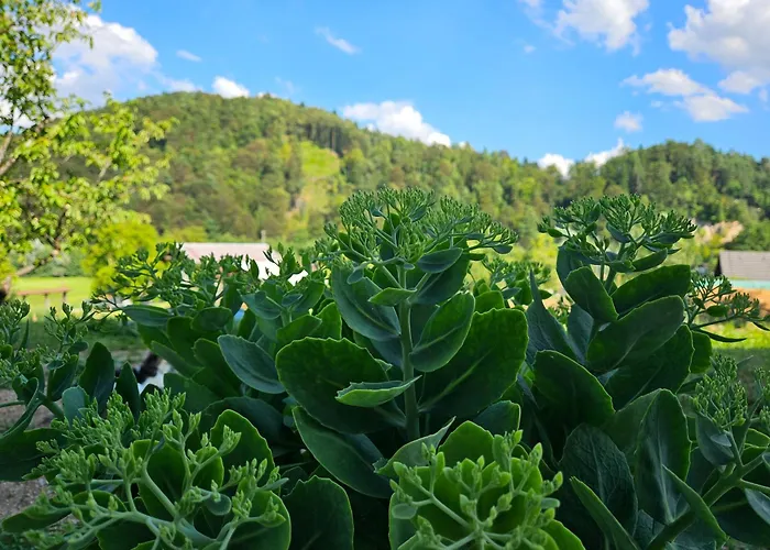 Landhuis Red Riding Hood Ljubljana